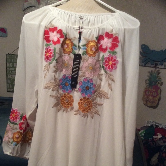 NWT AK size 2X dress - Picture 6 of 16